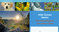 Desktop Screenshot of killerdomainnames.com