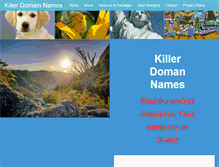 Tablet Screenshot of killerdomainnames.com